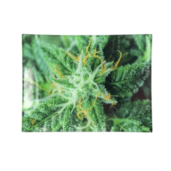 Vsyndicate Survivor Glass Rollin' Trays / Small / AK 47